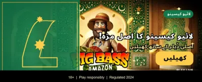 پاکستان کا سب سے بہترین گیم